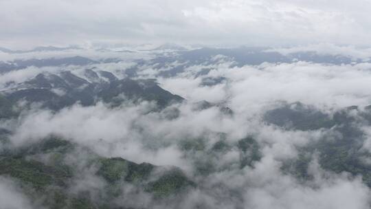 高清4K云海航拍山区森林风光风景素材空镜