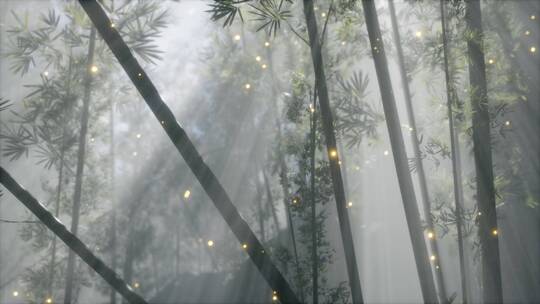 竹林与晨雾天气