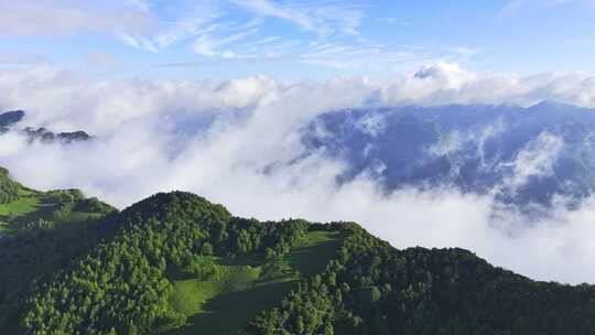 航拍高山森林云海云雾