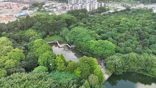 东莞市黄旗山公园航拍