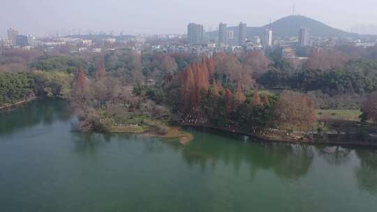 秋天的马鞍山雨山湖城市风光航拍素材