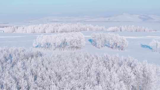 4K呼伦贝尔雪原雾凇空镜3