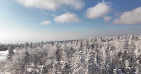 长白山雪岭景区航拍