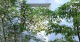 江南园林 古典园林 白墙 窗户 竹子 竹叶高清在线视频素材下载