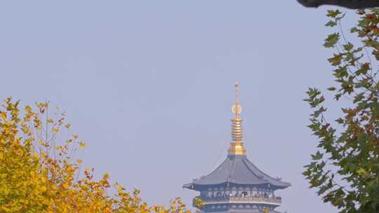 杭州西湖雷峰塔秋天风景