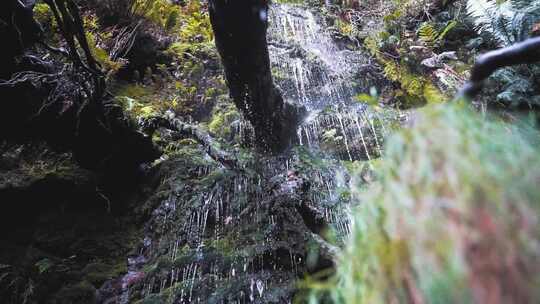 树林岩石瀑布流水雨滴溅落