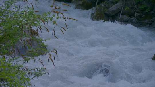 河流，岩石，河床，水