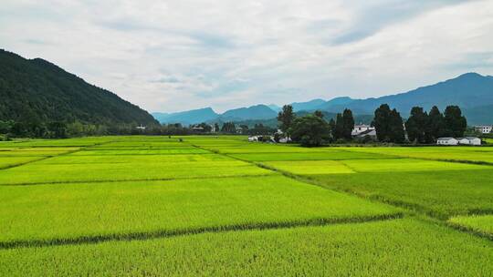 航拍乡村风景