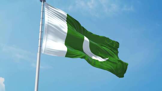 巴基斯坦现实主义旗帜