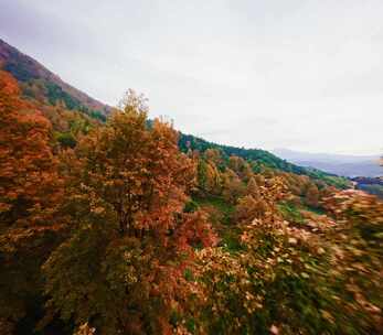 广东惠州“无量山”枫叶穿越机航拍4K视频