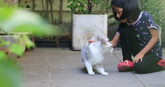 可爱小女孩与她的宠物猫在花园院子里玩耍