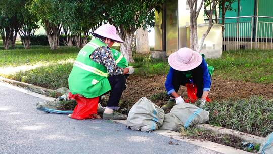 园林工人在种植视频素材模板下载