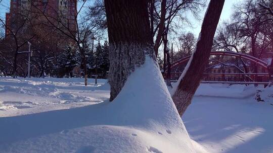 冬天公园老树小河雪景