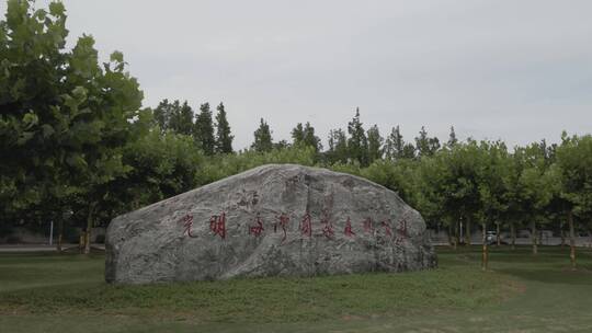 上海 奉贤 海湾森林公园 湿地景观 原生林地