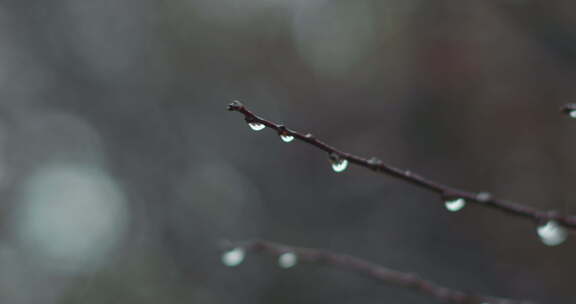 秋季秋雨下的公园