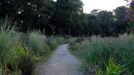 百草园荒郊野外