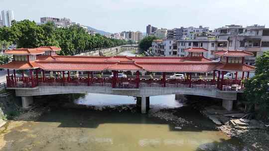 合集广东云浮城市绿化植物航拍