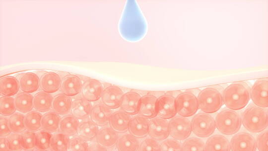 皮肤细胞与吸收的水滴 3D渲染