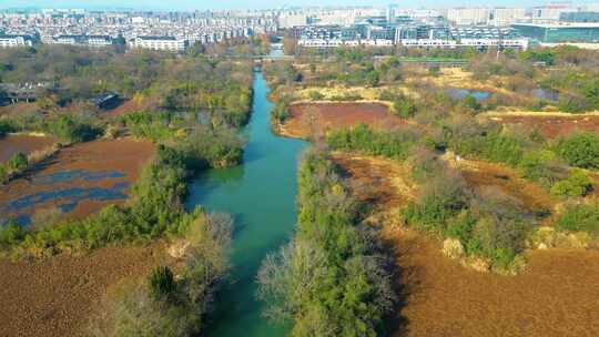 杭州西湖区西溪湿地美景风景视频素材