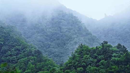 夏季山林下雨天水雾云雾