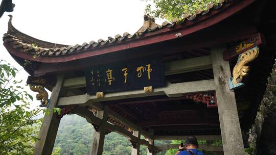 杭州临安西天目山里的百年银杏树和台阶