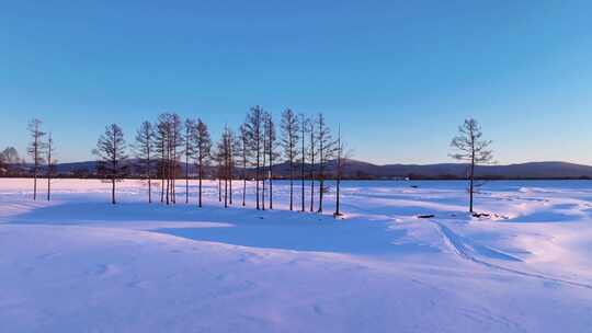 开阔雪地上有人在活动的景象