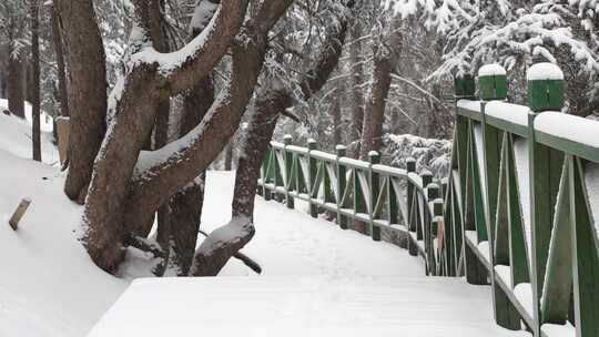 贺兰山金顶雪景视频 (29)