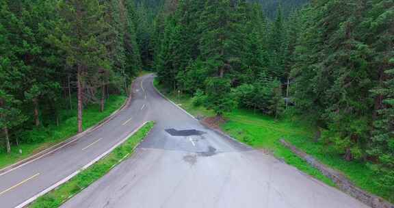 森林中的公路汽车航拍