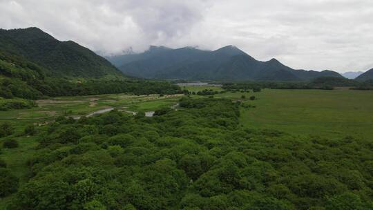 航拍初夏蓝天白云的湖北神农架大九湖6号湖