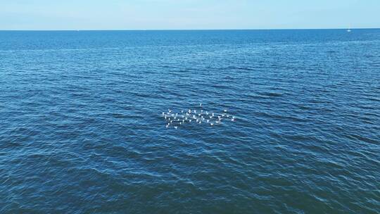 葫芦岛龙回头海景航拍4K大气风光