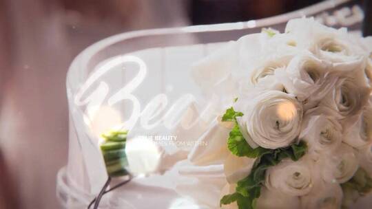 闪亮标题展示婚礼照片开场AE模板AE视频素材教程下载