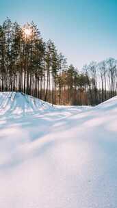 阳光在森林雪地上延时