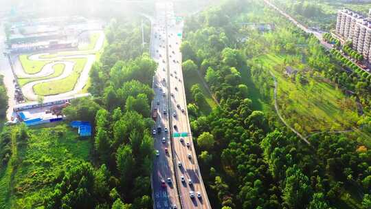 城市道路环境绿色出行低碳环保概念