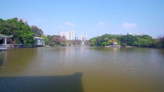 广州天河公园城市湖泊树林自然风光