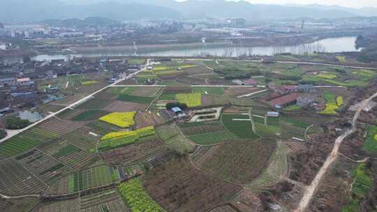 乡村田园农业种植油菜花农田航拍