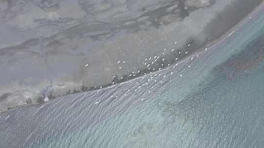 普莫雍措湖岸湿地风光