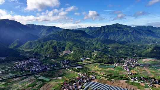 美丽乡村绿色稻田