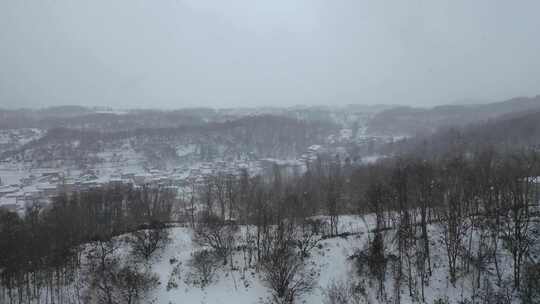 北海道森林