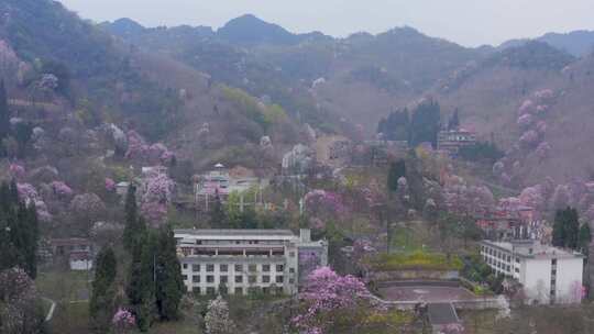 「有版权」航拍四川绵阳九药王谷4K