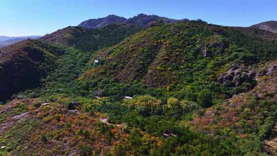 辽宁朝阳槐树洞自然风景