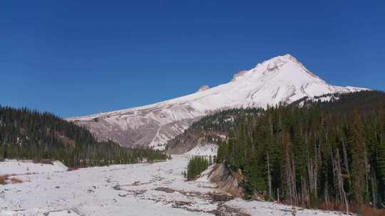 山，白雪覆盖，树，雪