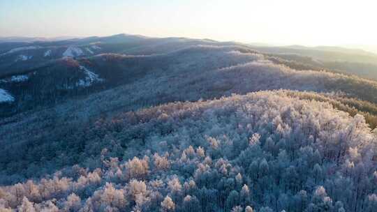 高山雾凇