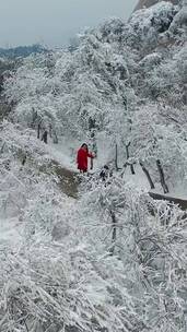 风景这边独好，大自然在我手中，雪景