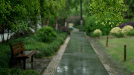 158 杭州 风景 古建筑 下雨天 树枝 椅子