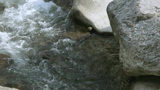 山间河流溪水