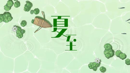 原创荷塘荷叶夏至二十四节气片头片尾