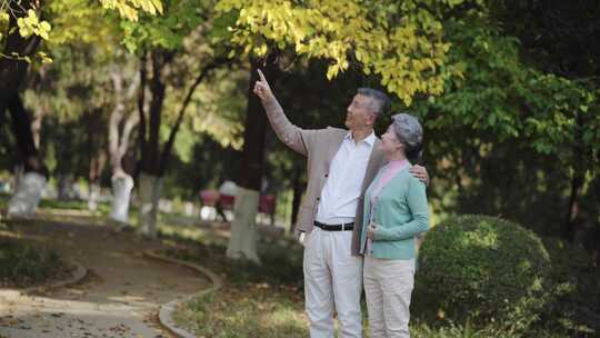 老年夫妇 老人微笑视频素材模板下载