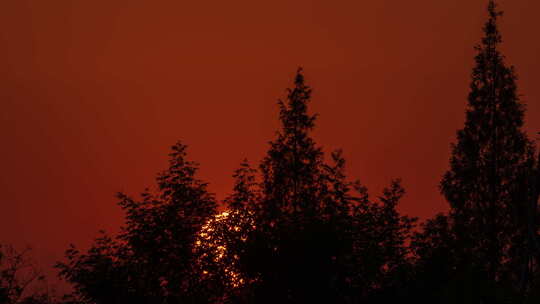 太阳日落夕阳晚霞树木剪影