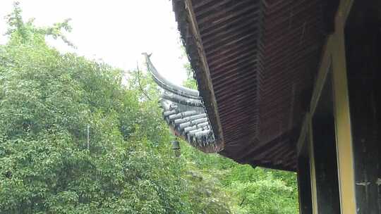 苏州园林雨季下雨素材实拍