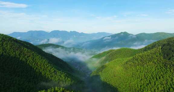 高山竹海云雾云海杭州余杭百丈延时航拍